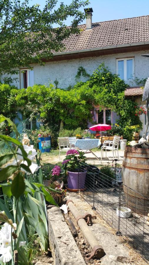 Bed and Breakfast BASSE-COUR DE MONTIN au 256 chemin de la rocaille à 38510 VEZERONCE CURTIN Morestel Esterno foto